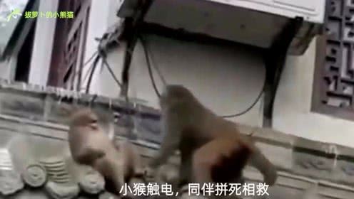 ky开元集团官网入口