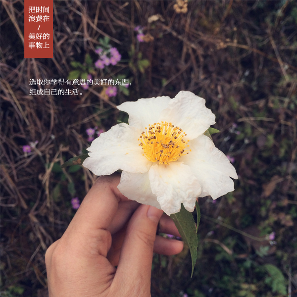 ky开元集团官网入口