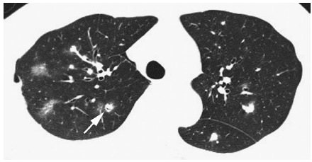 ky开元集团官网入口