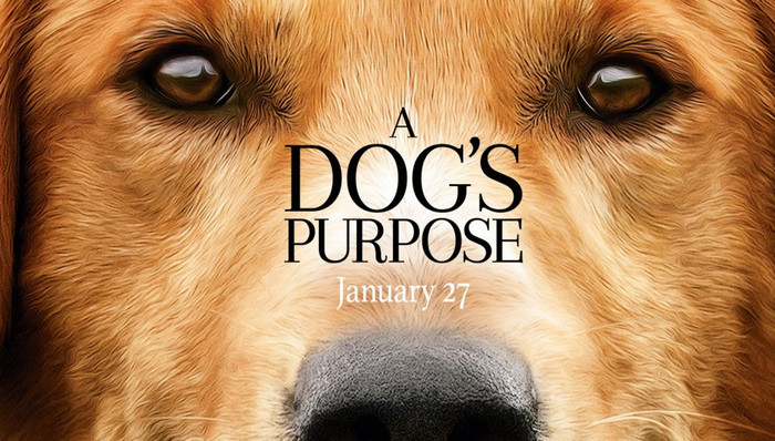 KY开元集团官网