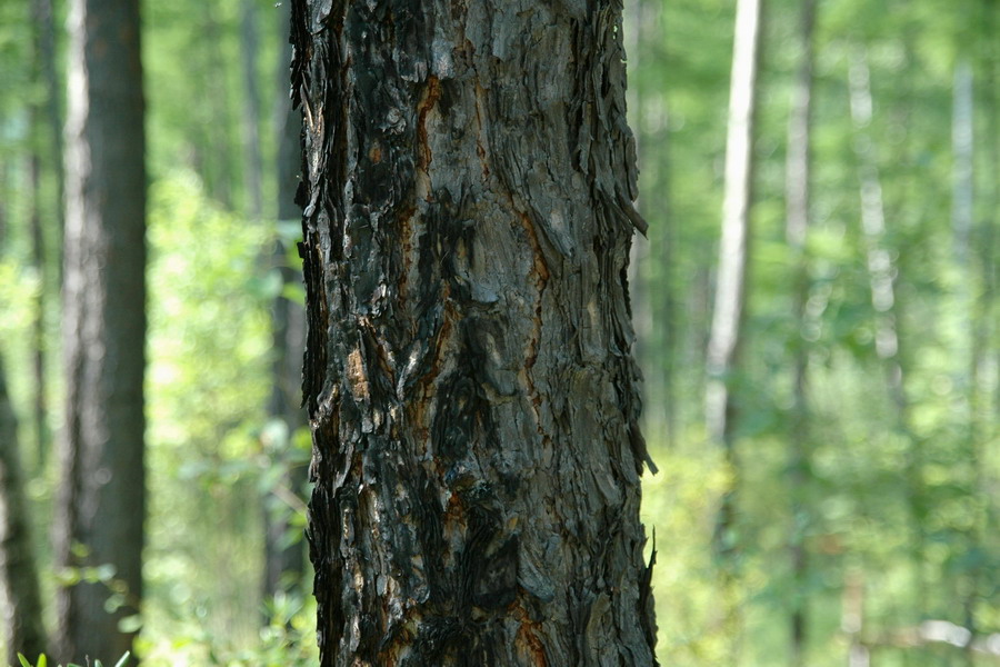 KY开元集团官网