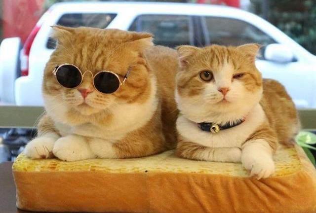 ky开元集团官网入口