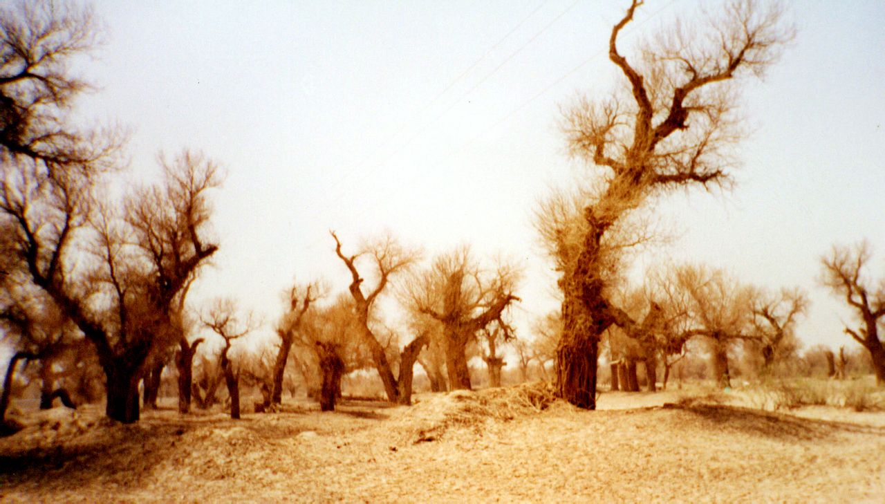 八旬老人爱心再延续 寒门学子感恩知回报“ky开元”(图2) ky开元