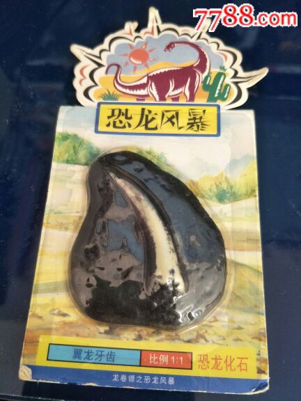 “4•15全民国家安全教育日”进校园宣传活动走进我校_ky开元(图3) KY开元集团官网