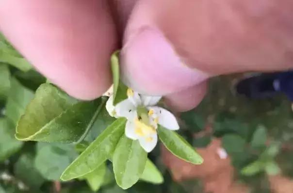 KY开元集团官网