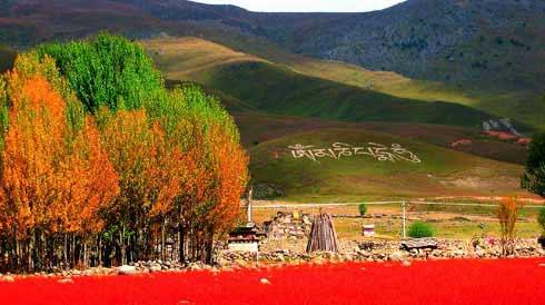 ky开元集团官网入口