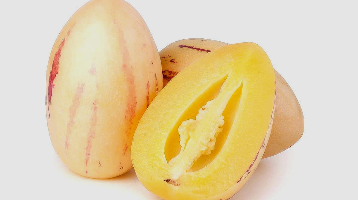 状师告诉你!农用地上搭建的养殖场不属于违章修建!快扩散_KY开元集团官网(图1) ky开元