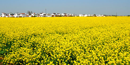 KY开元集团官网