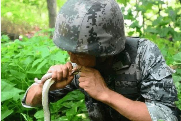 ky开元集团官网入口
