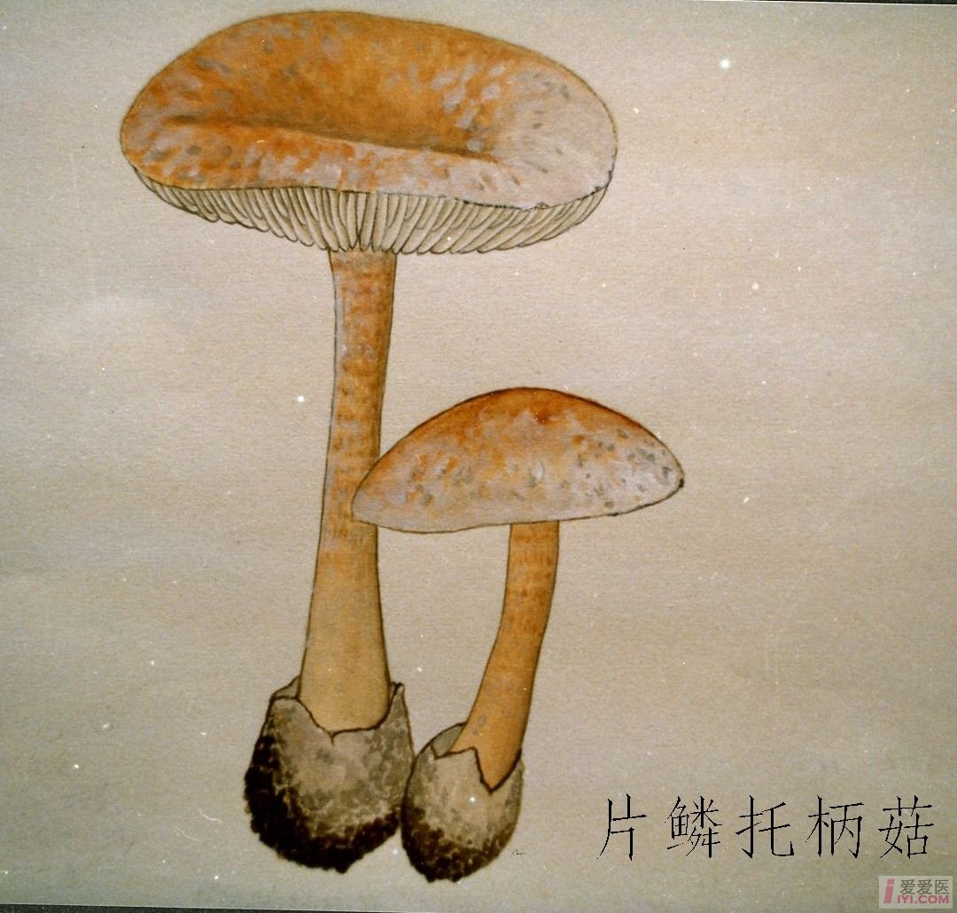 中国将举办世界互联网大会-ky开元集团官网入口(图2) ky开元集团官网入口